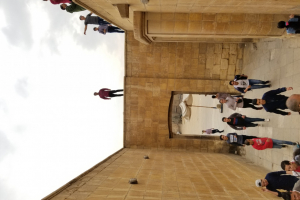 20181116_113102 20181116_113102