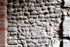 20181116_122632 20181116_122632