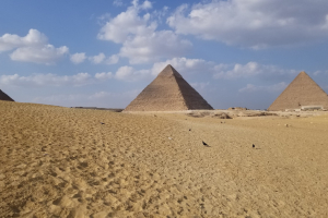 20181115_142032 20181115_142032