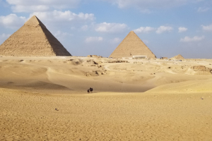 20181115_142523 20181115_142523