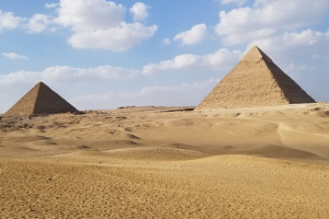20181115_142526 20181115_142526