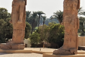 20181117_113918 20181117_113918