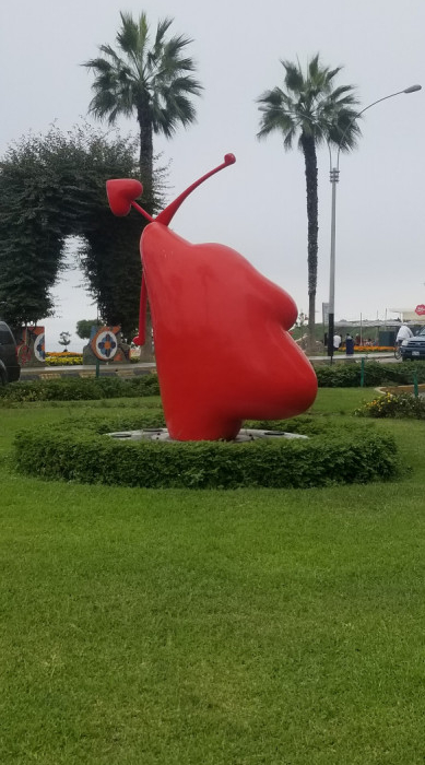 20190512_141627