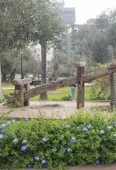 20190512_144316