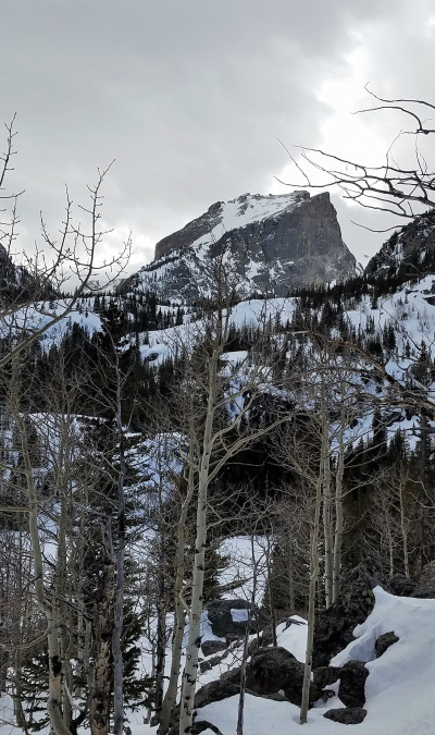 20170308_143738 20170308_143738